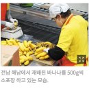 농협안성농식품물류센터 | 명절엔 트럭 줄만 5㎞, 한국서 가장 많은 과일이 유통 되는 곳, 경기 농협안성농식품물류센터
