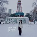 270-4510 | 겨울 홋카이도 여행 경비 삿포로 오타루 하코다테 5박 6일 항공권, 숙소, 식비