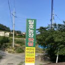 일호농장 이미지