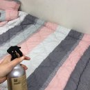 아람향 이미지