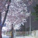 정비단지사거리 이미지