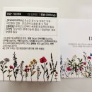 닥터플로러 이미지