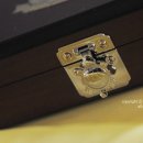 홍삼월드플러스