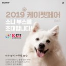 너와펫(PET) Daum카페