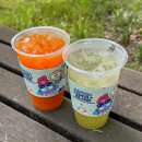 당근(carrot) | 이디야 신메뉴 사과당근클렌즈주스 키위케일샐러리클렌즈주스 내돈내산 건강한데 맛있을까