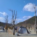 [청주] 충북 청주캠핑장 옥화포시즌캠핑장 다녀온 후기