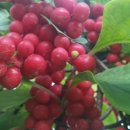 유경농장 이미지