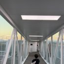 일등할인마트 | 푸꾸옥(1) 중부 푸옹빈 숙소 킹콩마트 환전 즈엉동 야시장 발마사지 엠어이 반미 메오키친 유주네일...