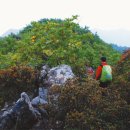 충청도의 산] 두악산 727m 이미지