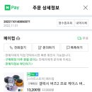내돈내산) 페이럽 버즈프로 케이스 구매 후기