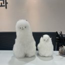 길정형외과의원 이미지