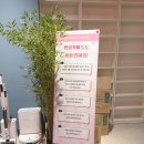 디피(D.P)스터디카페 | 강남 실내데이트 추천 강남역 만화카페, 도도만화카페 강남점 솔직후기