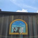 남원목장 이미지