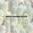 빛나는마케팅