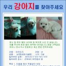 문산읍-4 Daum카페