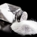 1호피티 이미지