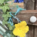 🚗꽃잎반 8월 2주이야기🚗 이미지
