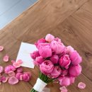 플라워사랑 이미지