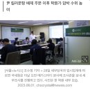 [단독]국세청, 메가스터디 세무조사…대형 입시학원 타깃 이미지