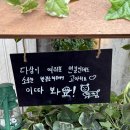 다다다와 콩나물 @숲세권 라이브