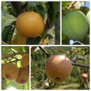 산들농원 이미지