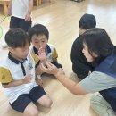 실내초병설유치원 이미지