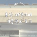 개들랜드 | 울산 애견카페 개들랜드 후기