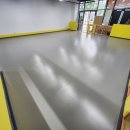 우리애견 이미지