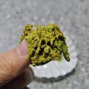 양천로75길 | 서울 염창 말쫀쿠 카페메모리 말차쫀득쿠키 가격 솔직 후기