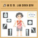나비초 이미지