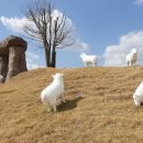 안성맞춤랜드18 이미지