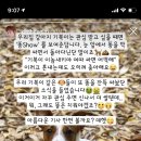 개소리펫샵 이미지