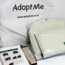 가방위에 고양이 | 고양이 이동 가방 추천 어답트미 쉽고백팩 xl 6개월 사용 후기