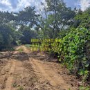 심성공인중개사사무소 이미지