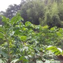 석문농장 이미지