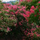 고려동유적지 이미지