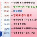 채움테라피 네이버블로그