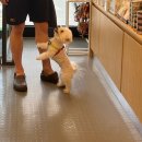 헤이븐동물병원 이미지