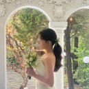 아치하우스 | 헤로하우스 토탈스튜디오 촬영후기ㅣ아치형 & 그리너리 배경