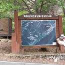 화왕산자연휴양림 이미지