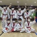 신흥태권도 이미지