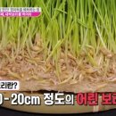 먹고보리 이미지