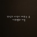 시선아트 티스토리