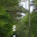 진식목장 이미지