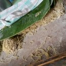 아화식당