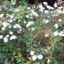 진주체육공원 이미지