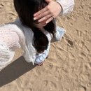 2441 | [여행] 하와이 신혼여행 후기, 일정, 코스, 6박 8일 / 8박 10일, 2월 / 3월 호놀롤루 날씨