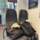 [오전] 이집트전통벨리댄스 | 6월의 이집트: 말 같지 않은 더위를 경험해 보셨나요?