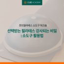 소도구필라테스 교육 이미지