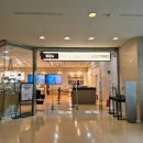 용산 국립중앙박물관 전시 국중박 운영정보와 주요전시 후기